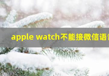 apple watch不能接微信语音